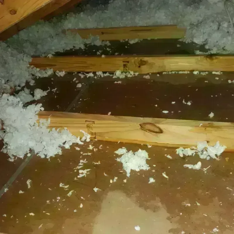 Attic Water Damage in Longview, TX