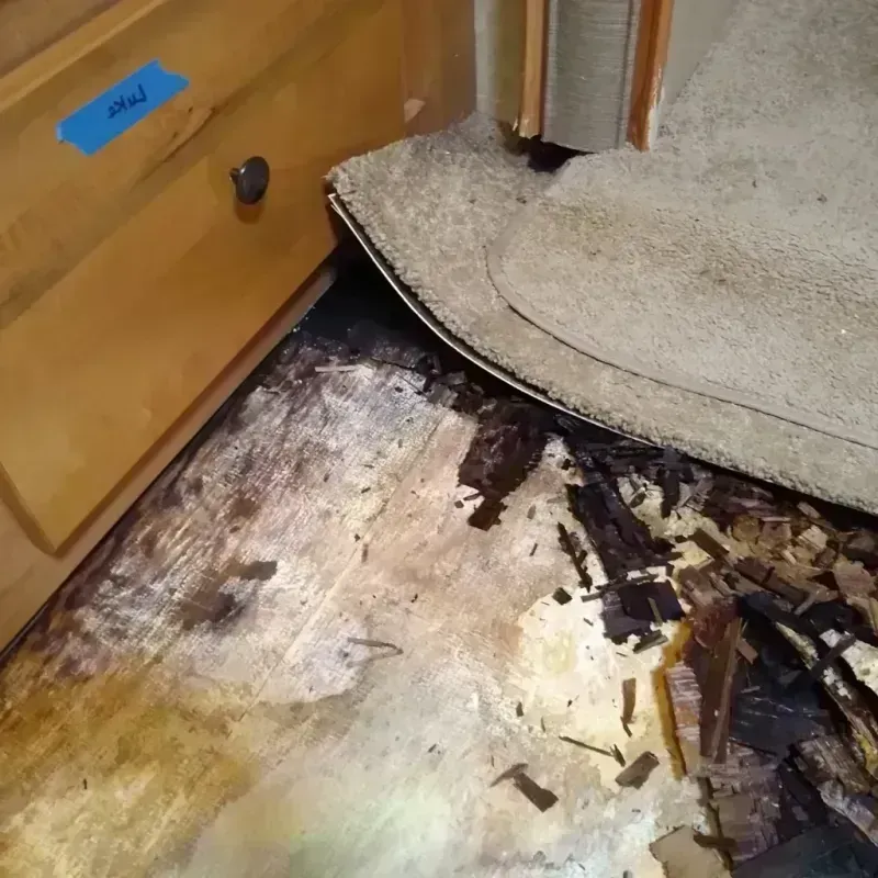 Wood Floor Water Damage in Longview, TX